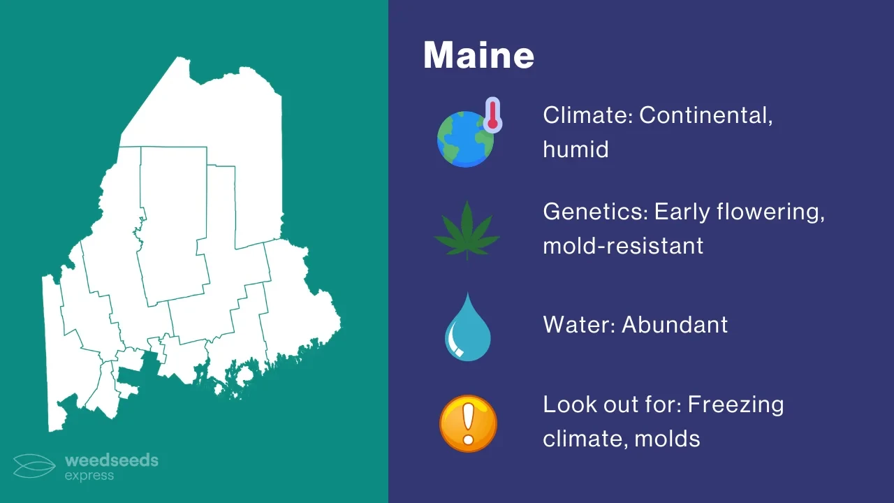 Cannabis Growing Climate in Maine